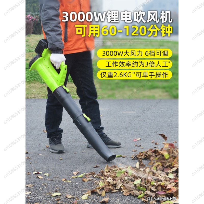 Souffleur de feuilles sans fil - Leaf Blower Cordless avis et prix