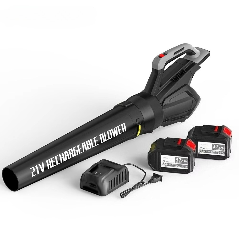 Souffleur de feuilles sans fil - Leaf Blower Cordless avis et prix